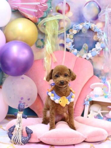 20240825みかんちゃん